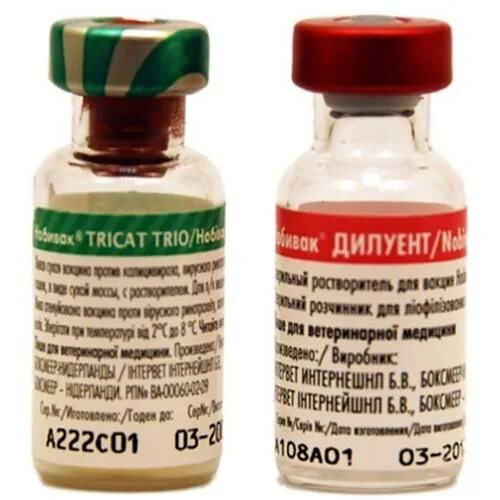 Трикет трио вакцина для кошек. Вакцина Нобивак Tricat Trio Rabies. Вакцина Нобивак Tricat Trio с растворителем Нобивак Дилуент. Нобивак трикет трио для кошек с растворителем. Нобивак трикет трио для кошек купить