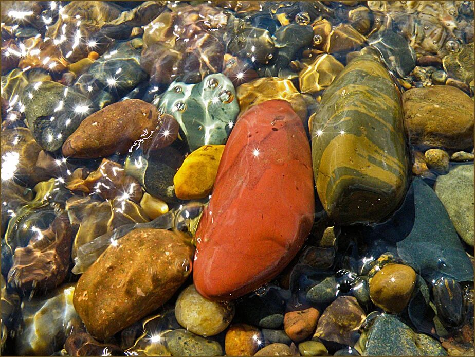 Камни морская галька. Морской изумруд черного моря. Подводные камни названия. Речные камни. Камни цезариния.