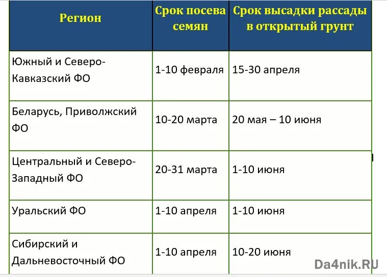 Сроки посадки рассады помидоров на рассаду. Таблица посадки помидор на рассаду. Срок высадки томатов на рассаду. Таблица посадки семян на рассаду в 2022 году. Посев семян хвойных пород необходимо проводить