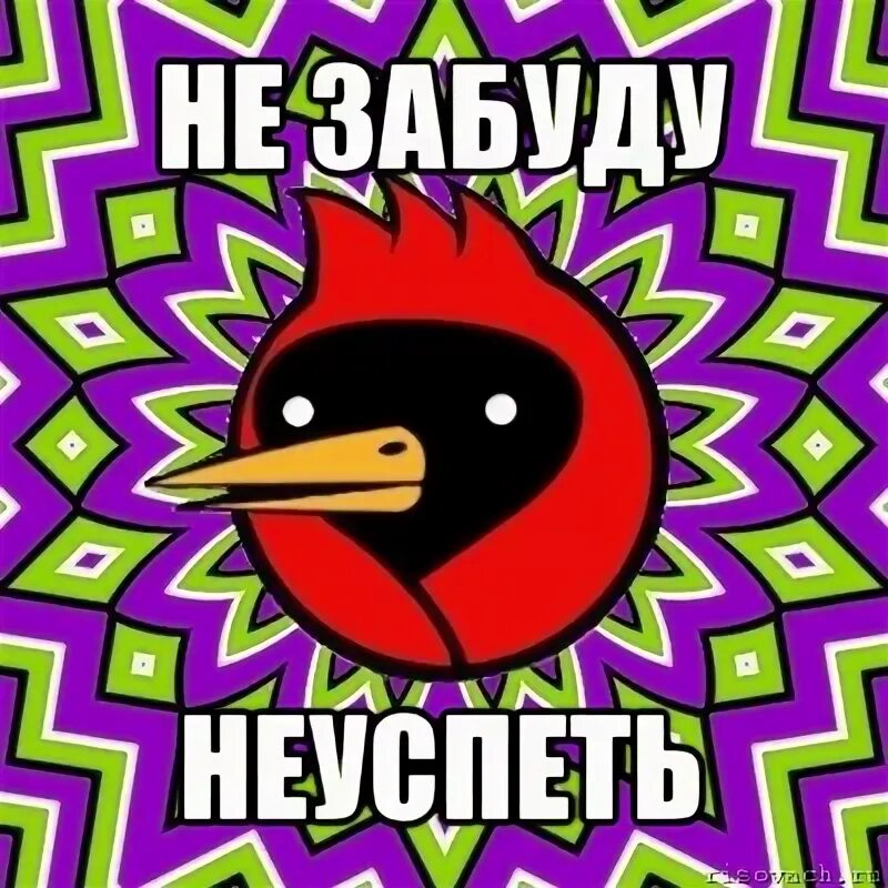 Неуспев или не успев как