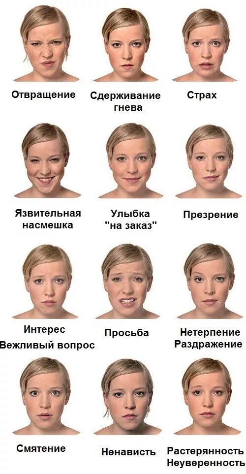 Мимика почему и. Эмоции мимика лица с описанием. различные выражения лица. выражения лица эмоции. выражение лица.