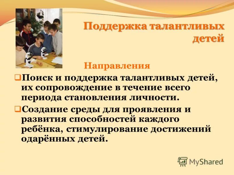 План одаренные дети. Разветвленность системы образования. Программа одарённый ребёнок. Программы для одаренных детей. Система поощрения одаренных детей.