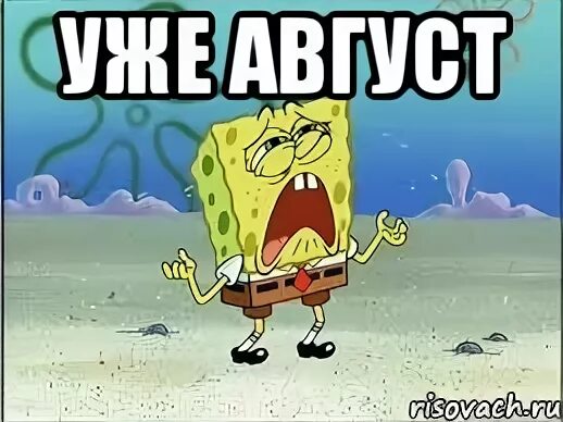 Мемы август 2024