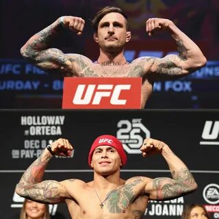 Телеграмм боев ufc