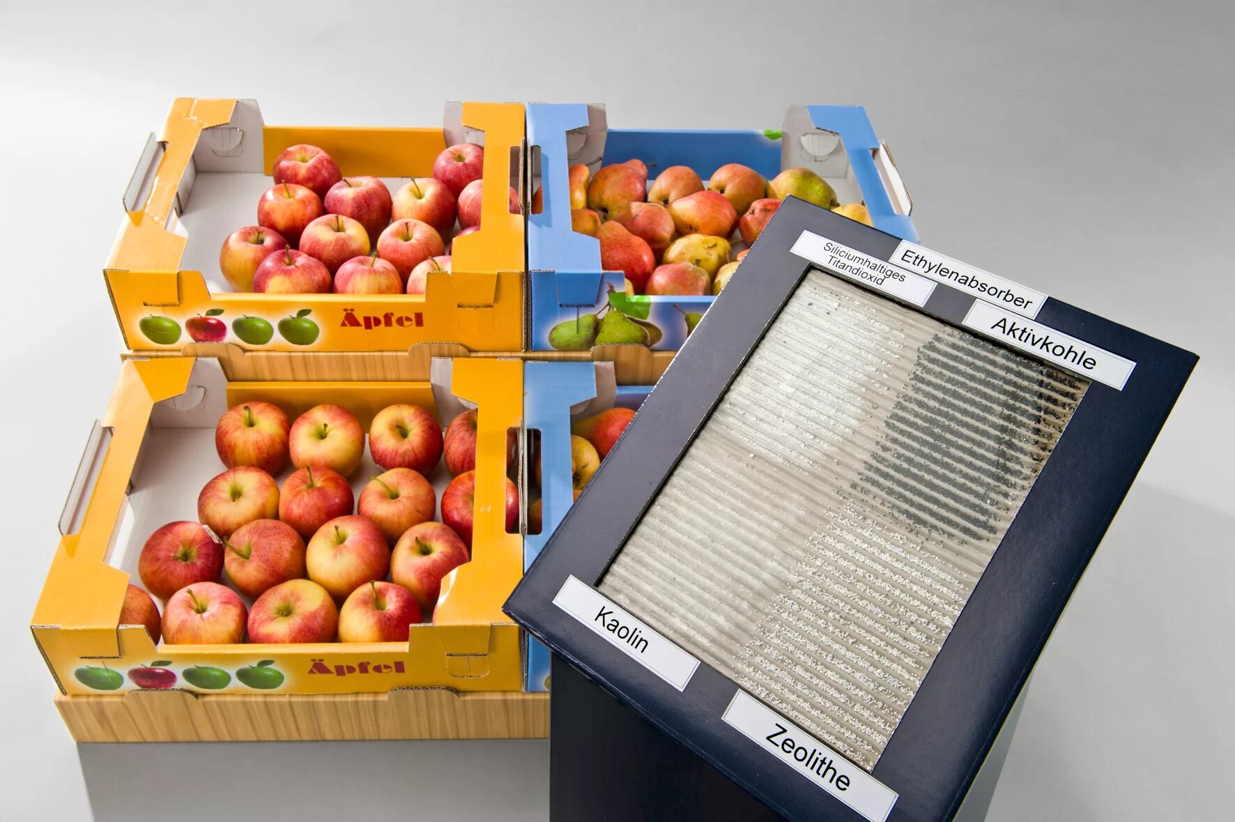 Упаковка фруктов. Упаковка овощей и фруктов. Упаковка для фруктов. Упаковка плодов и овощей. Упаковка яблок в ящики.