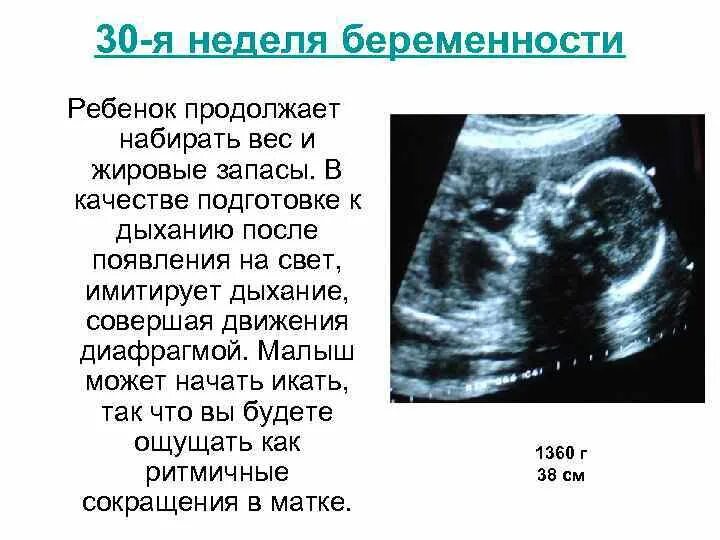 Вес ребёнка на 30 неделе беременности норма по УЗИ. Эмбрион на 30 неделе беременности. Вес плода по неделям беременности норма 30 недель. УЗИ 30 недель весит плод беременности. 30 недель беременности сколько весит ребенок