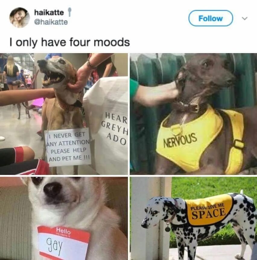 Men only have 4 moods. Man have only 3 moods. Men only have four moods. I have only 4 moods. Pet please