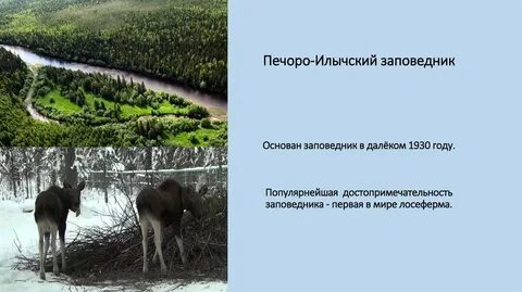 Заповедники и национальные парки республики коми