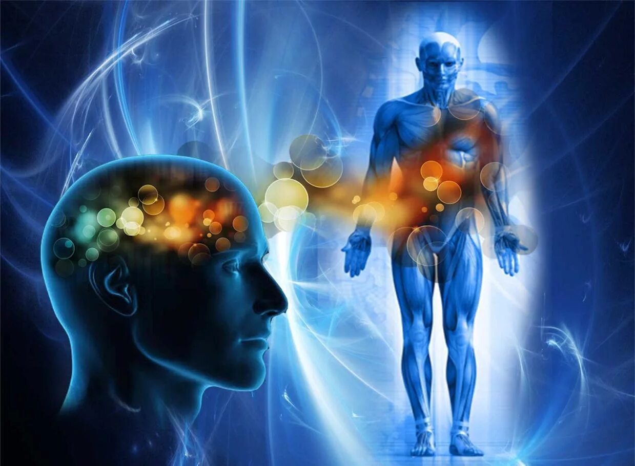 Может изменить разум и тела. Может изменить разум и тела. Воображение в медицине. Влияние йоги на организм человека. Схема разума.