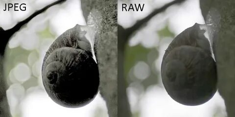 Raw инструкция