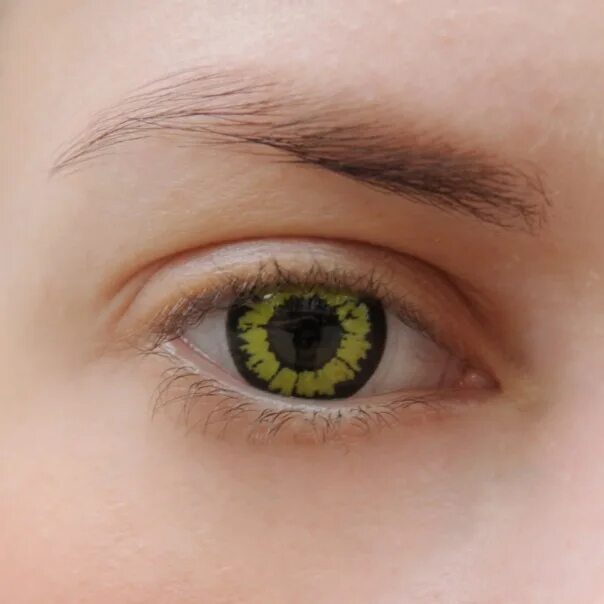 Желтый глаз 13. Линзы Yellow Wolf. Линзы Алькое Jade. Alba Green intesеv линзы. Жёлтые линзы для глаз.