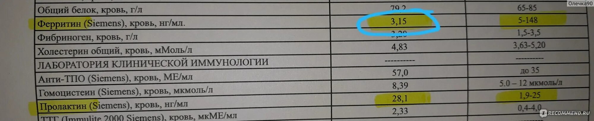 За что отвечает ферритин в организме женщин. Ферритин показатели крови.