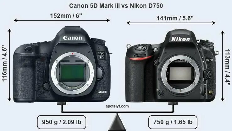 Canon 5d vs 5d mark. Canon EOS r6 Mark II. Canon r6 vs 5d. Canon r6 vs mark4. Canon r vs r6.