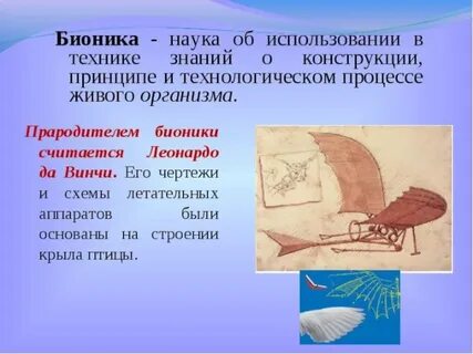 Что такое бионика в биологии 8 класс