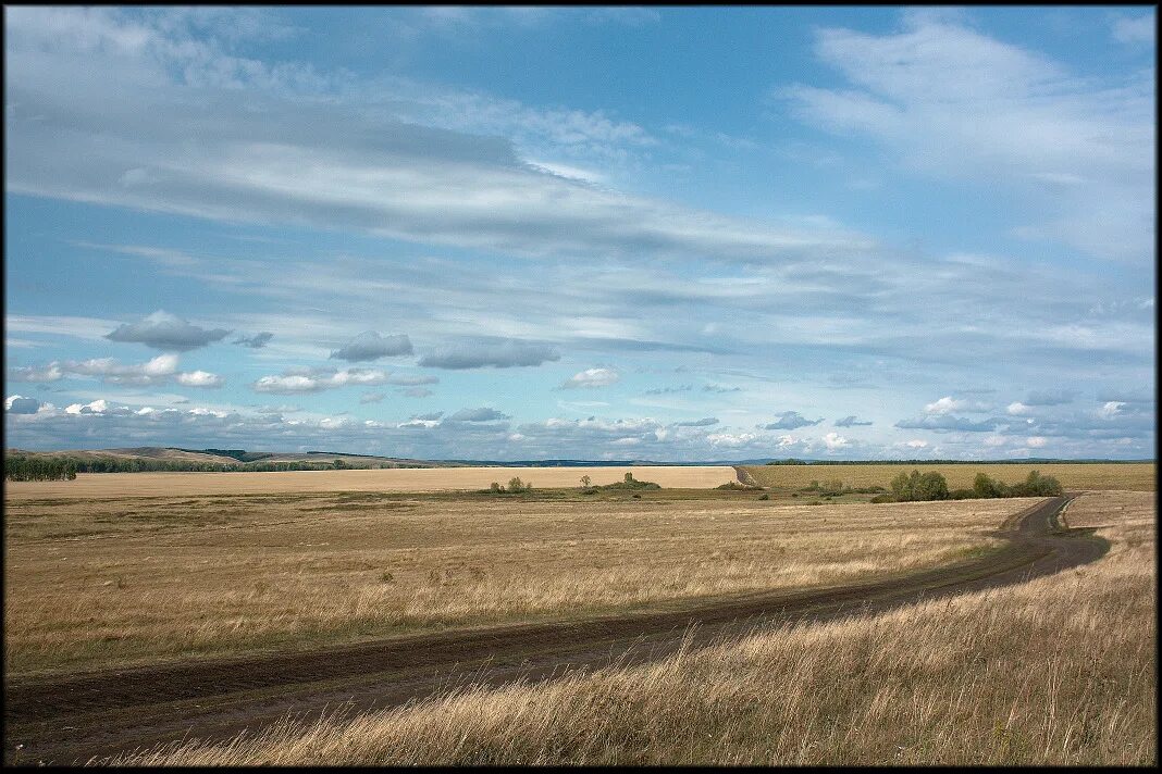 Ровное поле. Русское поле ровный Горизонт. Большое ровное поле. Уральские холмы небо. Погода в поле по часам
