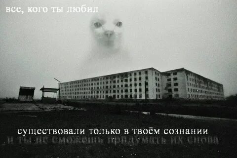 Твой рассудок