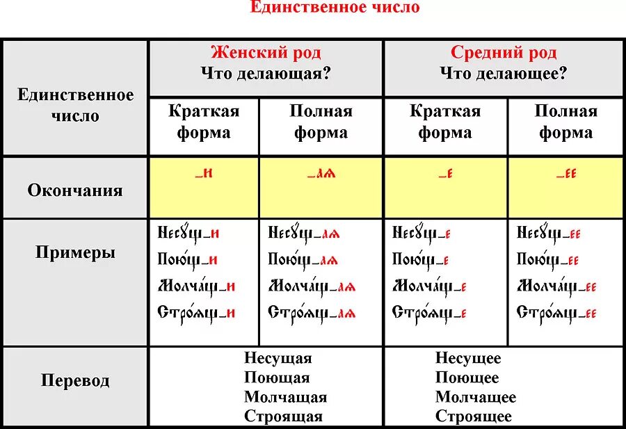 Окончания причастий множественного числа. Действительное Причастие прошедшего времени в старославянском языке. Краткие причастия в древнерусском языке. Формы причастий в древнерусском языке. Род в старославянском языке.