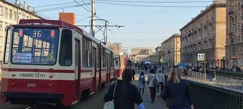 Пассажир трамвая
