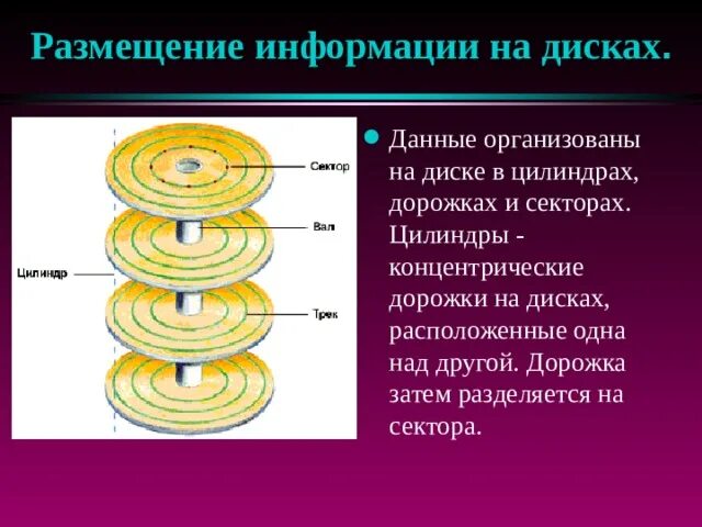 Концентрическая работа по биологии 8 класс. Концентрические дорожки на диске это. Размещение информации на диске. Организация размещения информации на дисках. Концентрические цилиндры.