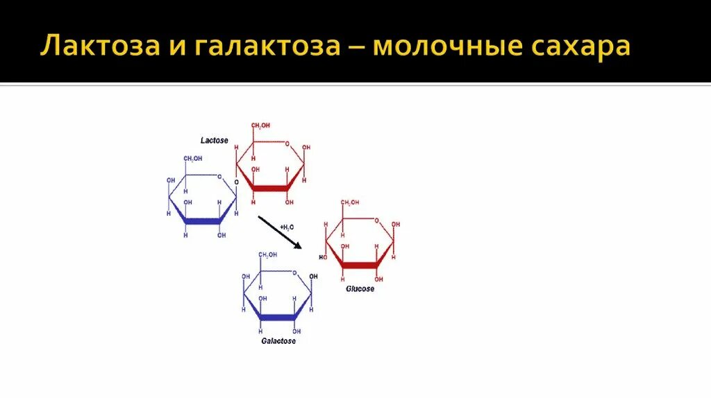 Молекулярная кухня порошки. Лактоза порошок. Декстрозы моногидрат формула. Молоко лактоза. Лактоза москва.