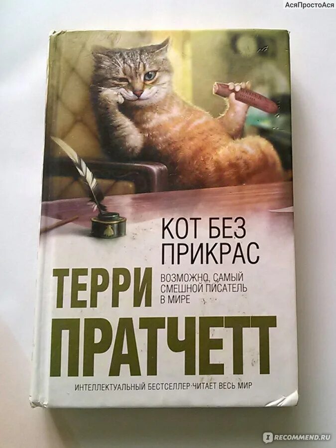 Без прикрас или прекрас. Кот без дураков Терри Пратчетт книга. Кот без прикрас книга. Без прекрас или прикрас. Кот без прикрас аннотация.