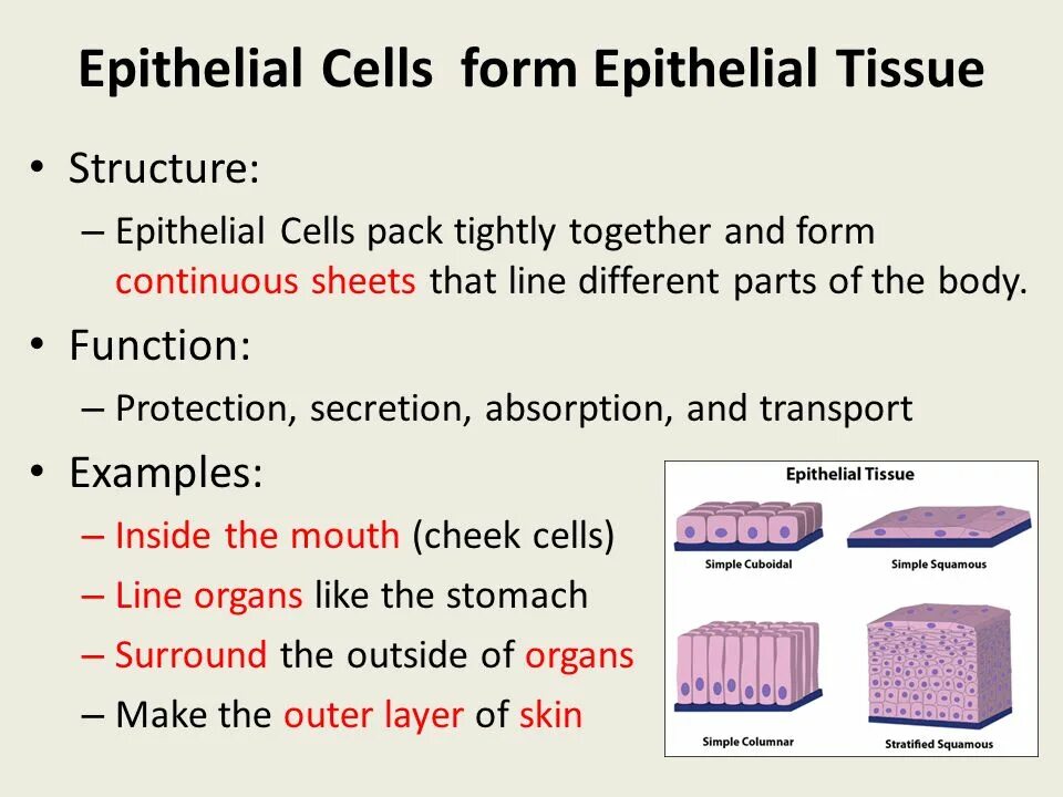 Sheets cells