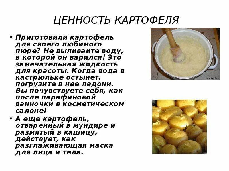 Ценность картофеля. Для приготовления картофельного пюре картофель протирают. Сколько варить картошку для пюре. Советы для варки картошки.