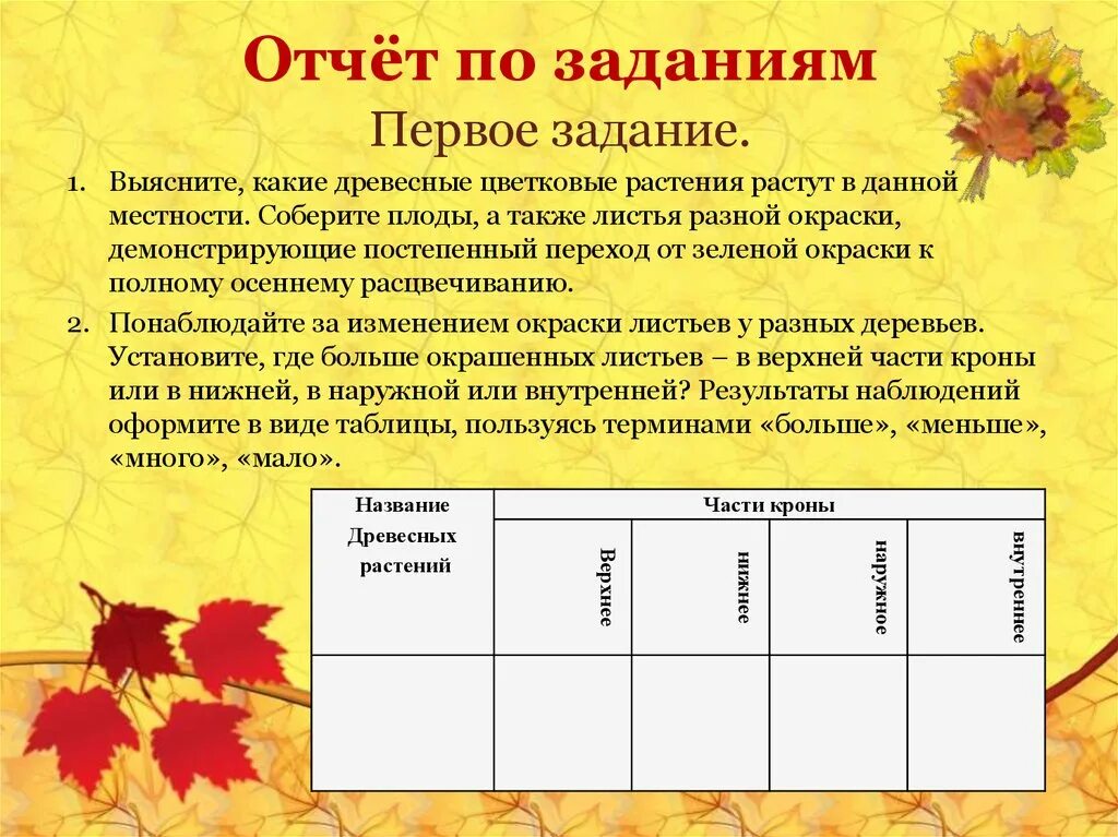 Осенние явления в жизни растений. Отчет по экскурсии осенние явления. Лист наблюдений за растениями осенью. Наблюдение за осенью. Таблица по биологии 5 класс сезонные изменения