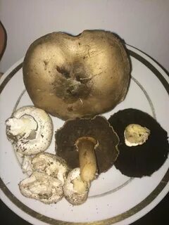 Переросшие шампиньоны