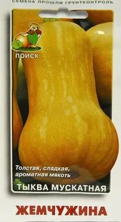 Мускатный сорт тыквы жемчужина