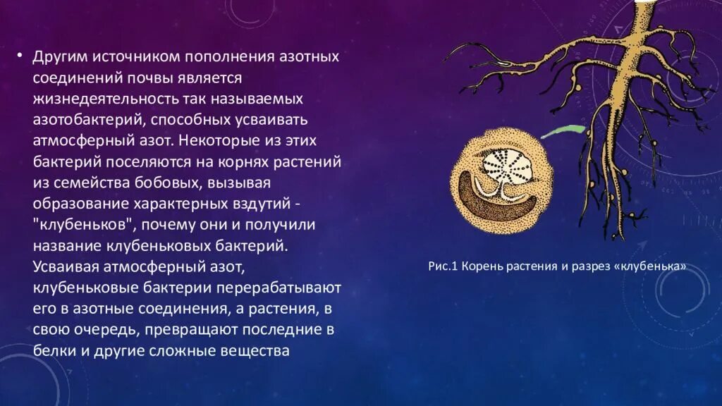 Азот в природе 9 класс. Круговорот азота. Круговорот азота в природе 9 класс. Круговорот азота в природе схема. Круговорот атмосферного азота в природе.