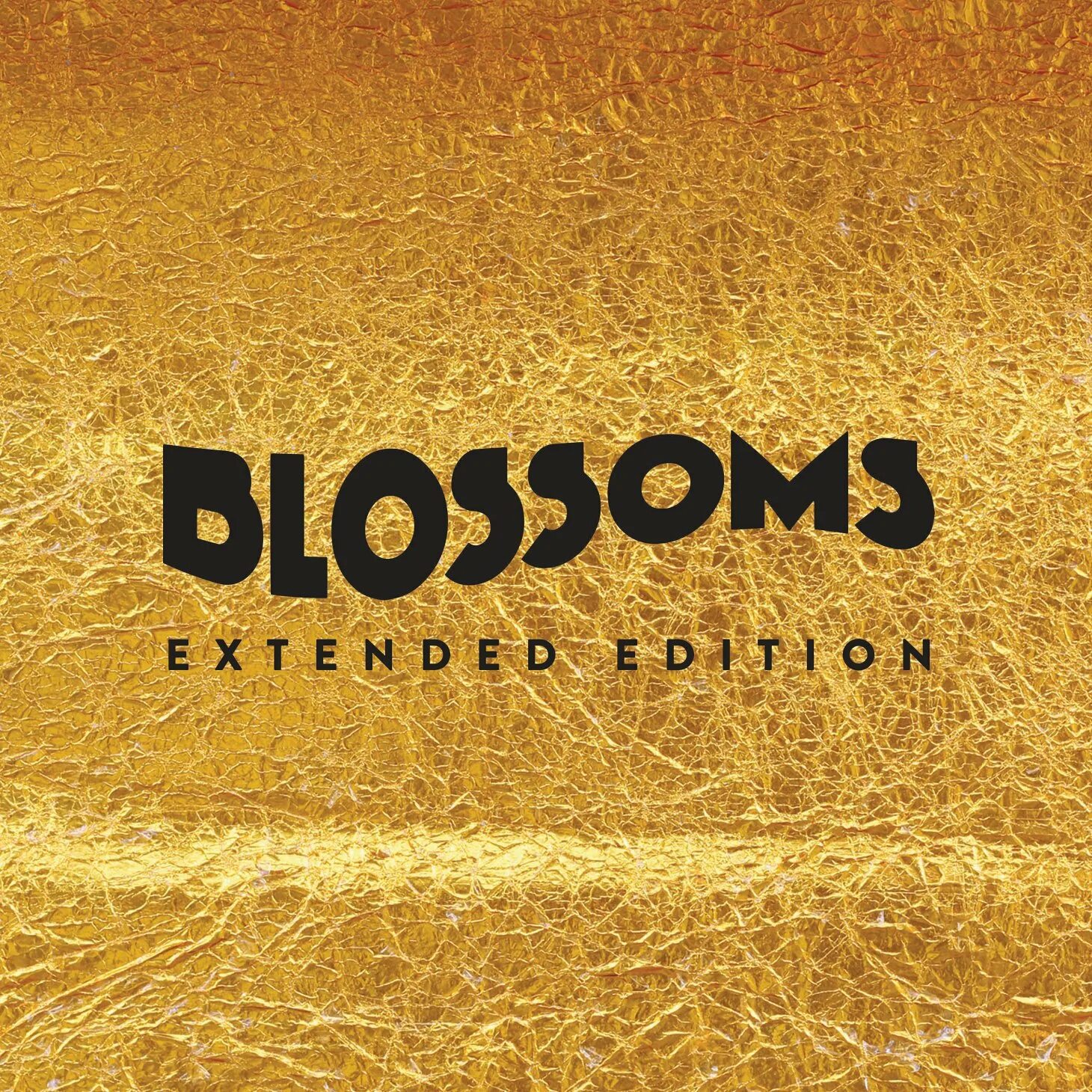 Blossoms. Blossom слушать. Blossoms Blossoms album Cover. Обложка для mp3 Blossoms - Charlemagne.