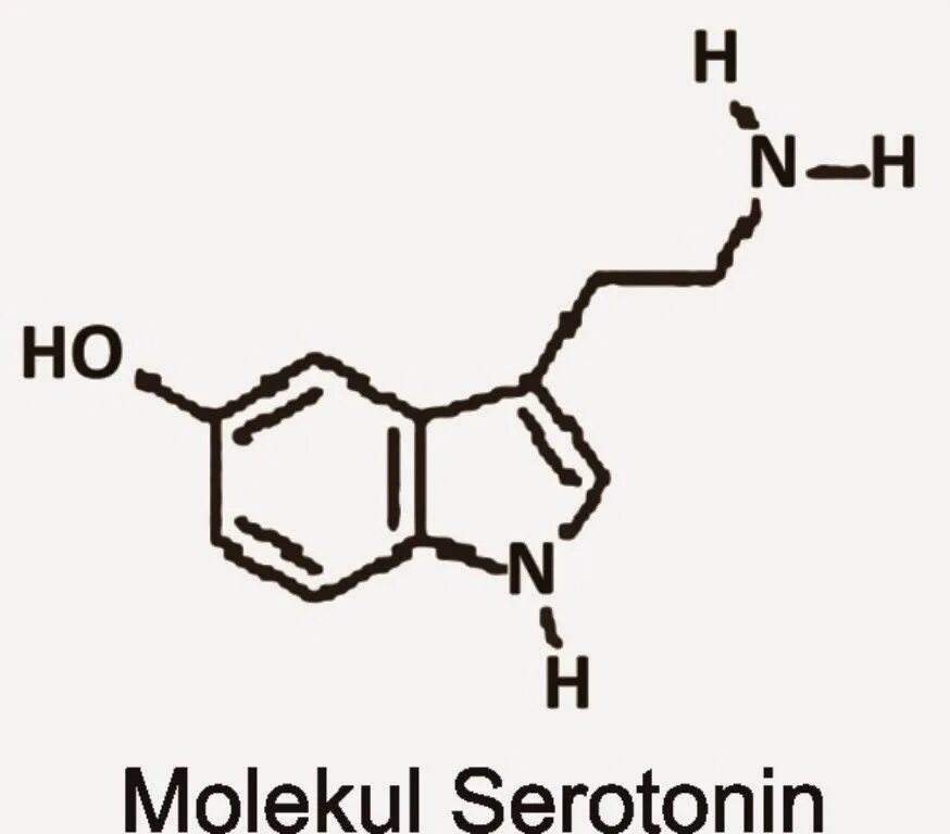 Серотонин. Знак серотонина. Серотонина нет. Макет серотонина.