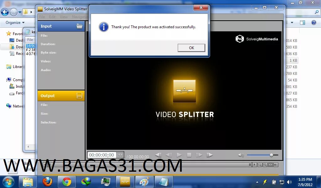 Solveigmm splitter. Solveigmm video splitter логотип. solveigmm video splitter business edition.