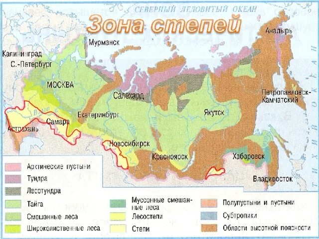 Наибольшая площадь природной зоны в россии