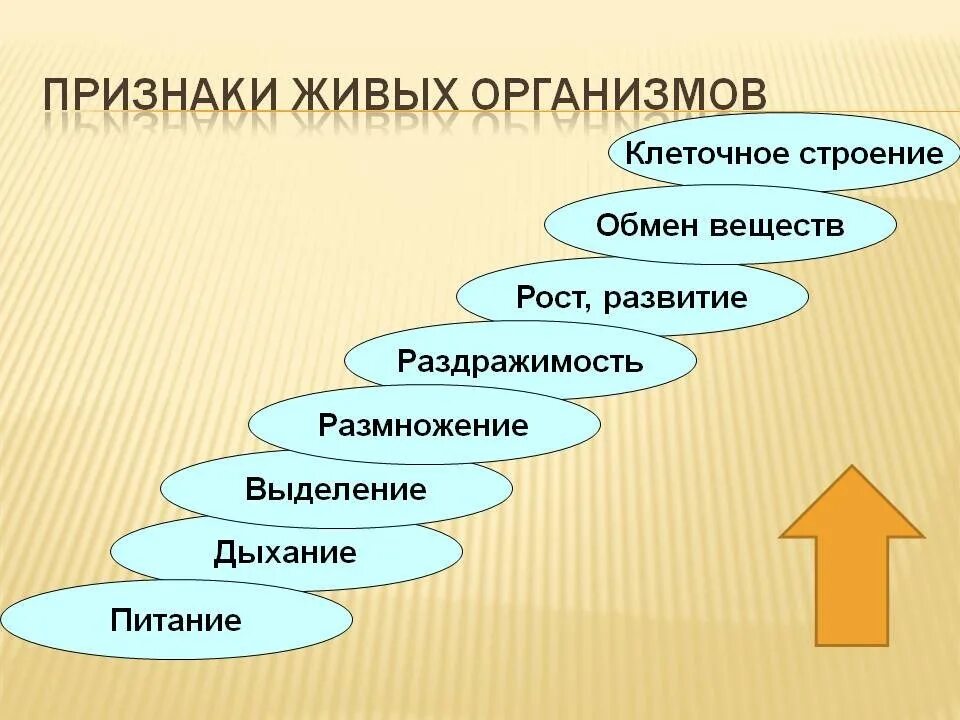 Признаки живых организмов. Приданки живого организма. Признаки живых организмов биология. Характерные признаки живых организмов. Питание дыхание движение