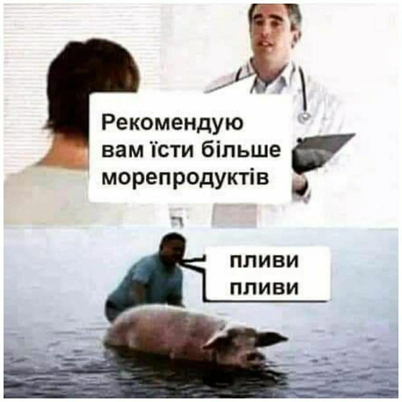 Говорила что утонешь. Плыви плыви свинья. Морепродукты Мем. Мем про свинью и морепродукты.