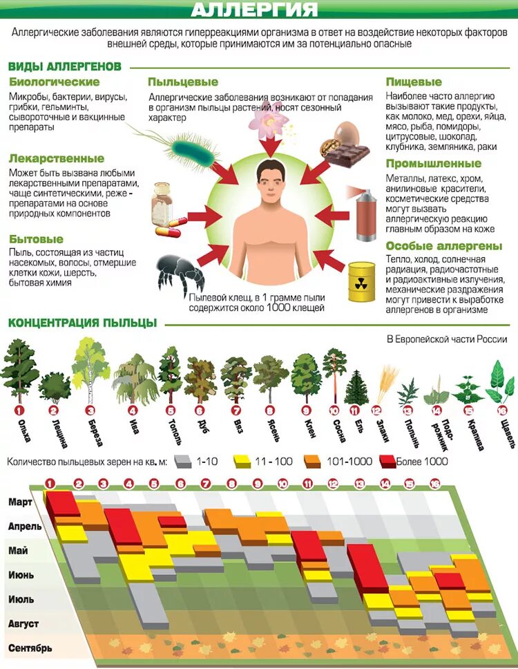 Как проявляется аллергия на цветение. Сенная лихорадка поллиноз симптомы. Сезонная аллергия. Профилактика аллергических заболеваний. Памятка аллергия.