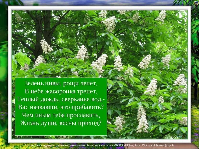 Зелень Нивы Рощи лепет. Зелень Нивы Рощи лепет в небе жаворонка. Стих зелень Рощи лепет зелень Нивы в небе жаворонка трепет. Зелень Нивы.