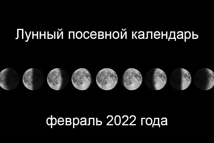 Март месяц 2025 года. Лунный календарь на февраль 2025 года. лунный календарь на март 2025 года. лунный календарь на март 2025. лунный календарь на 2025 год.