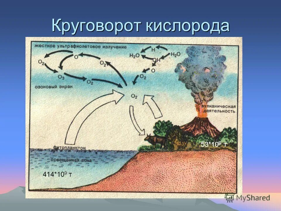 Мертвые зоны в море. Круговая диаграмма. Карта кислорода в воздухе в мире. Состав воздуха в процентах. Какая страна держит первенство по выработке кислорода.