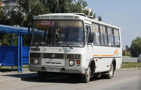 Автобус заринск