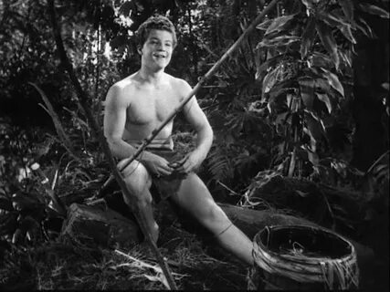 Jungle boys