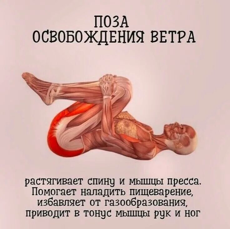 Тонус мышц формирующих позу человека. Поза освобождения ветра. поза освобождения ветра в йоге. тонус мышц. мышца в гипертонусе.