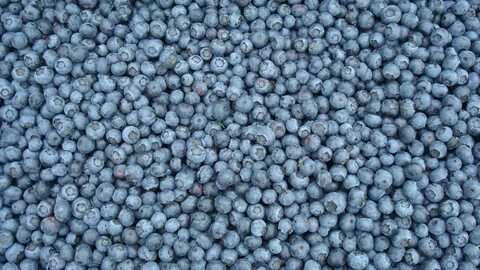 Blueberry записи приватов