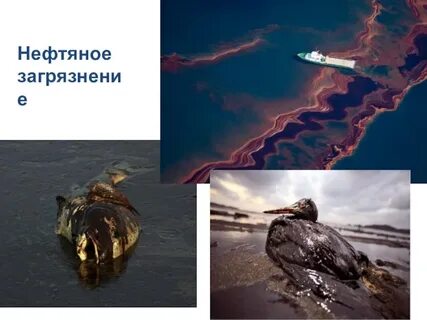 Нефтяное загрязнение мирового океана страны