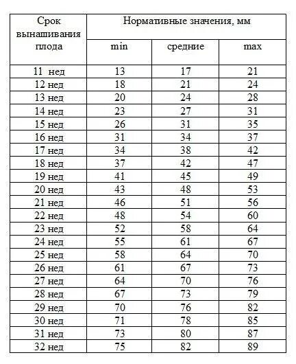 33 неделя размеры. Окружность головки в 12 недель норма. Окружность головы в 12 недель беременности норма таблица. БПР по неделям беременности таблица норма. Норма БПР В 12 недель беременности.