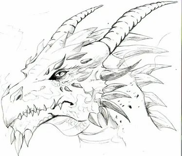 Рисунки драконов для срисовки (100 фото) .
