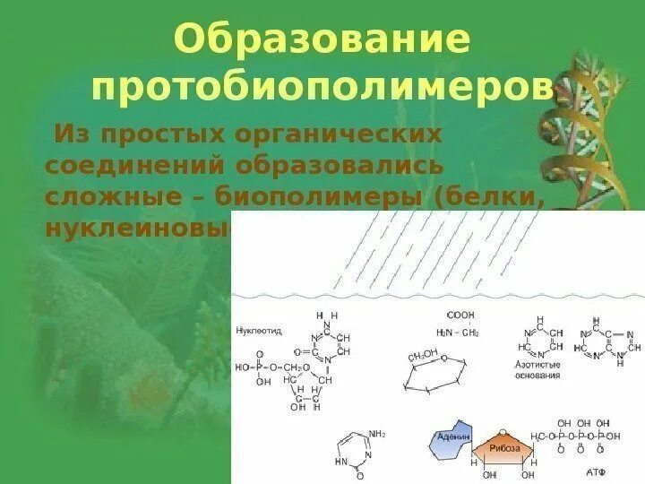 Теории происхождения протобиополимеров. Низкотемпературная теория происхождения протобиополимеров. Сложные органические вещества биополимеры. Термическая теория образования протобиополимеров. Соединение не являющееся биополимером