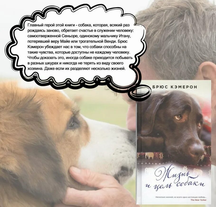Брюс Кэмерон жизнь и цель собаки. Собачья жизнь книга Брюс Кэмерон. Жизнь и цель собаки книга. Романе Брюса Кэмерона «жизнь и цель собаки».